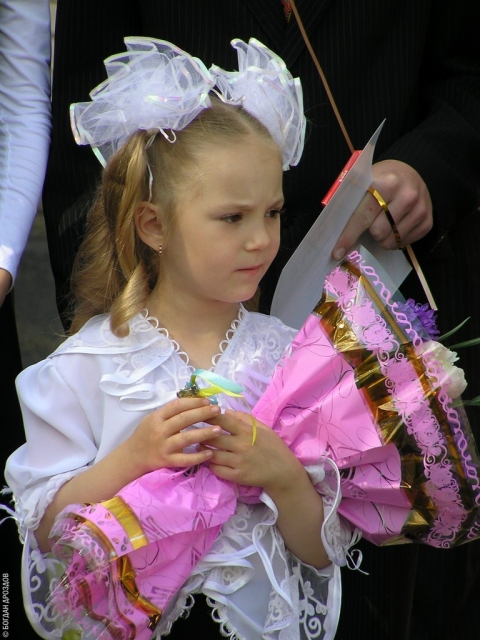P5293085