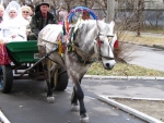 IMG_7778a
