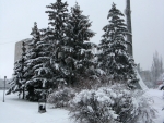 snow