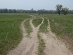 dorogi