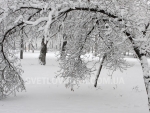 winter_012