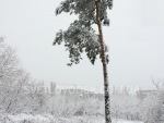winter_014
