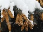 winter_017