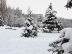 winter_018