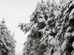 winter_020