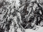 winter_021