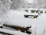 winter_022
