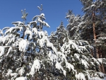 winter_025