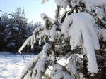 winter_026