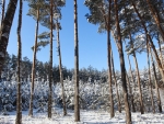 winter_027