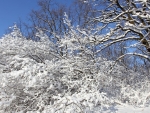 winter_028
