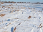 winter_029