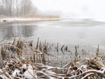 winter_03