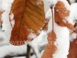 winter_08